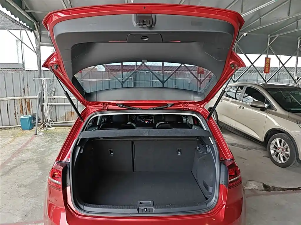 Volkswagen Golf 2017 230TSI Auto Comfort Millionth Anniversary Edition фото 19