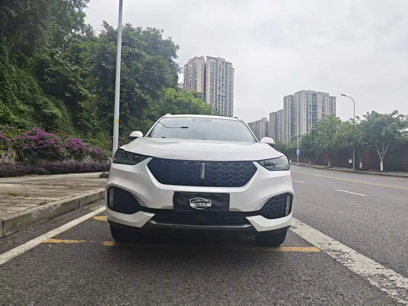 WEY VV6 2018 2018 2.0T 2WD Flagship China V