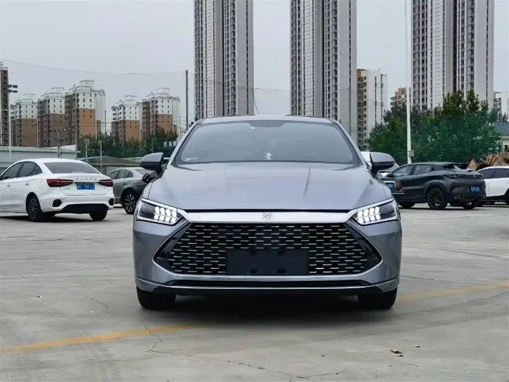 BYD Qin PLUS 2024 Glory Edition DM-i 55KM Leading фото 2