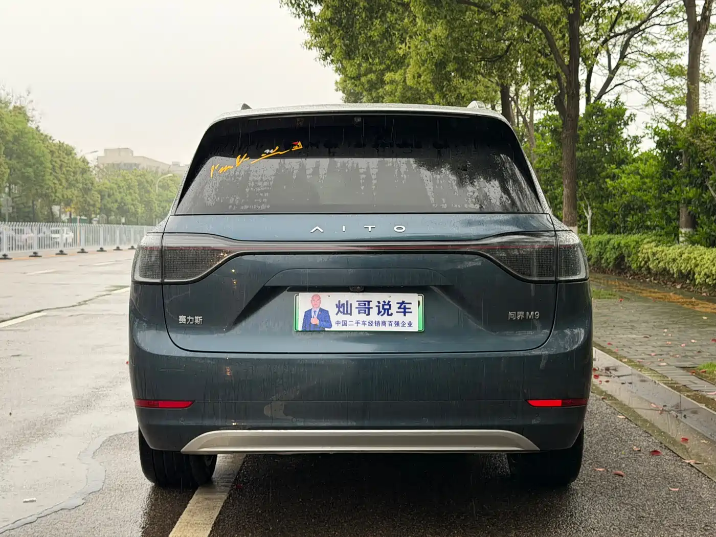AITO Wenjie AITO M9 2024 Extended Range Ultra 42kWh 6-Seater фото 7
