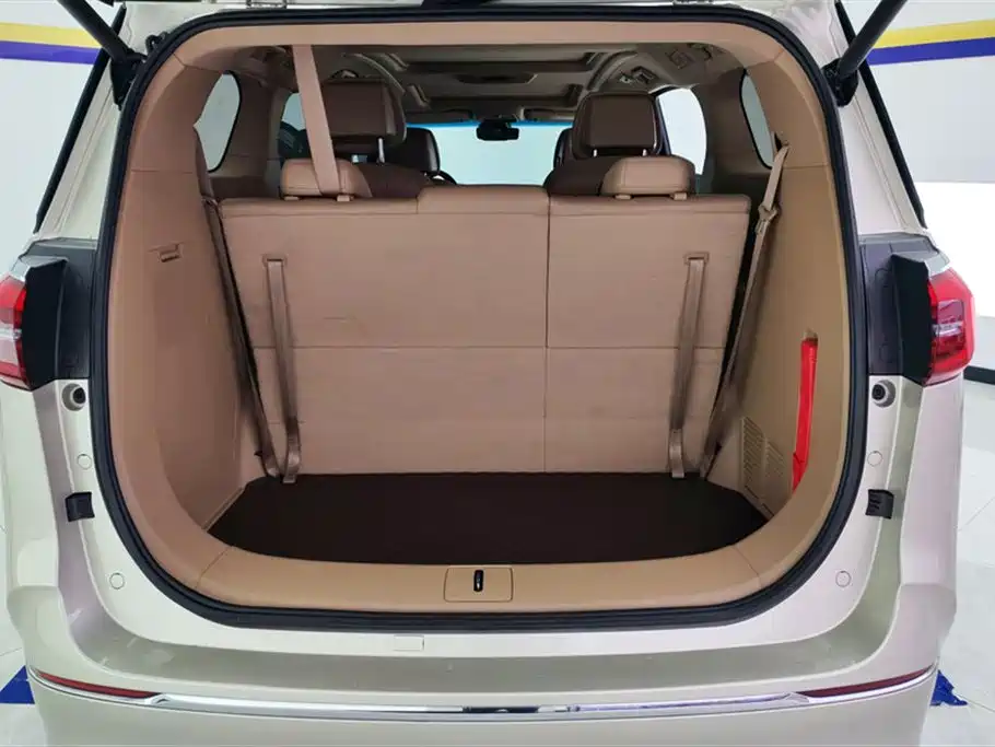 Buick GL8 2021 ES Landlord 653T Luxury фото 4