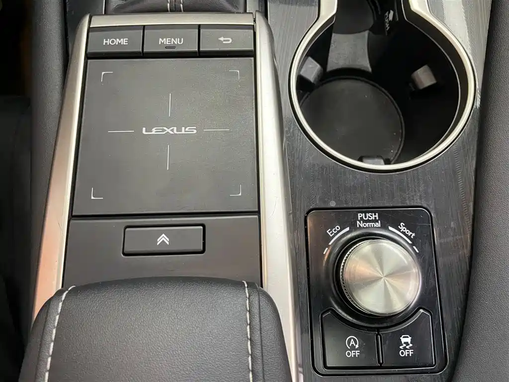 Lexus RX 2020 Facelift 300 2WD Elite Edition фото 24