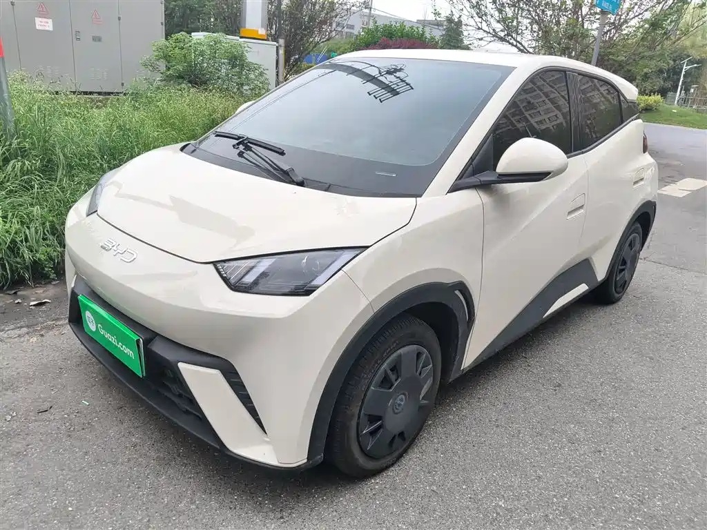 BYD Seagull 2025 305km Vitality