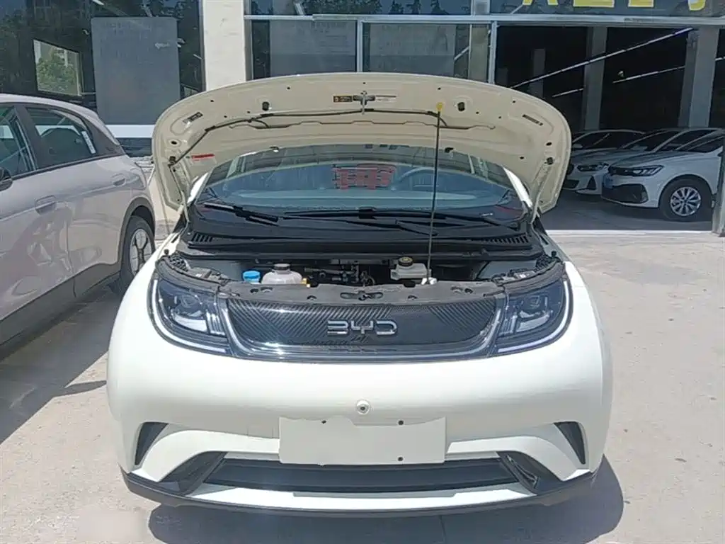 BYD Dolphin 2024 Glory Edition 420km Freedom Edition фото 20