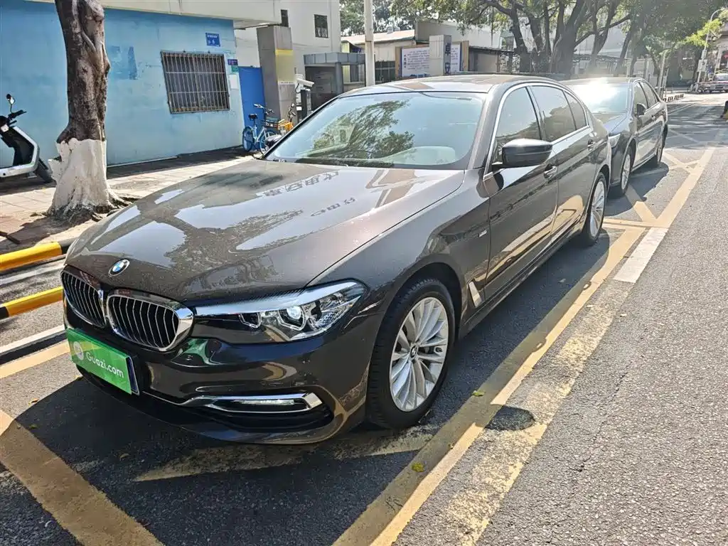 BMW 5 Series 2018 530Li Leading Luxury Package фото 2
