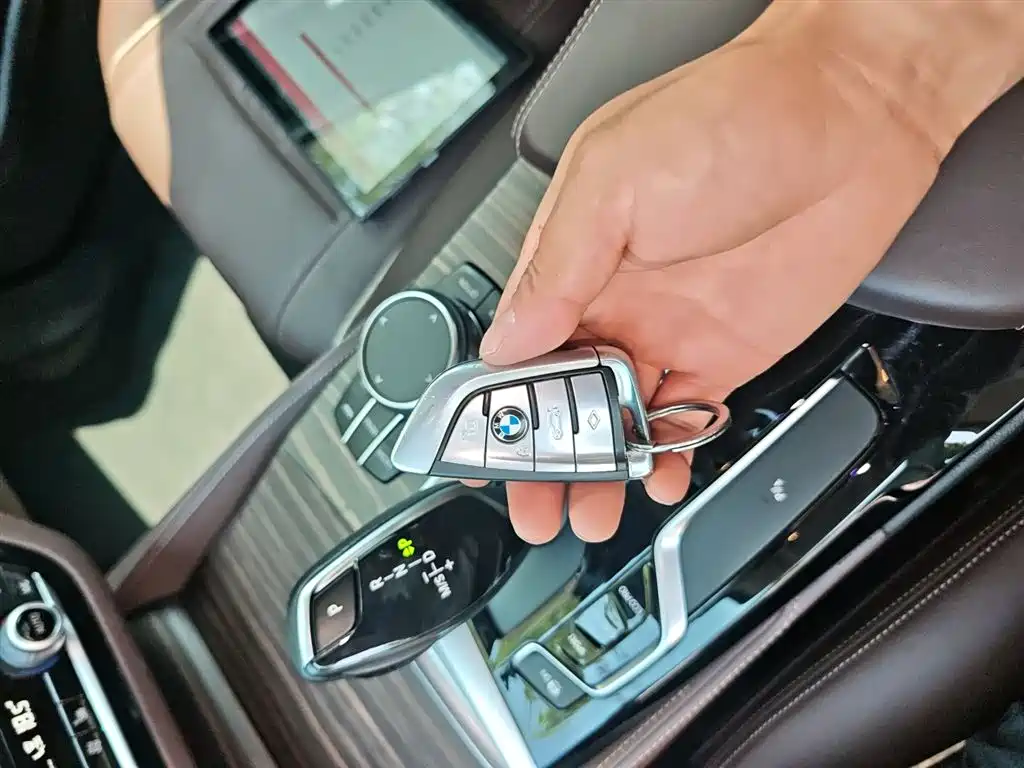 BMW 5 Series 2018 530Li Leading Luxury Package фото 17