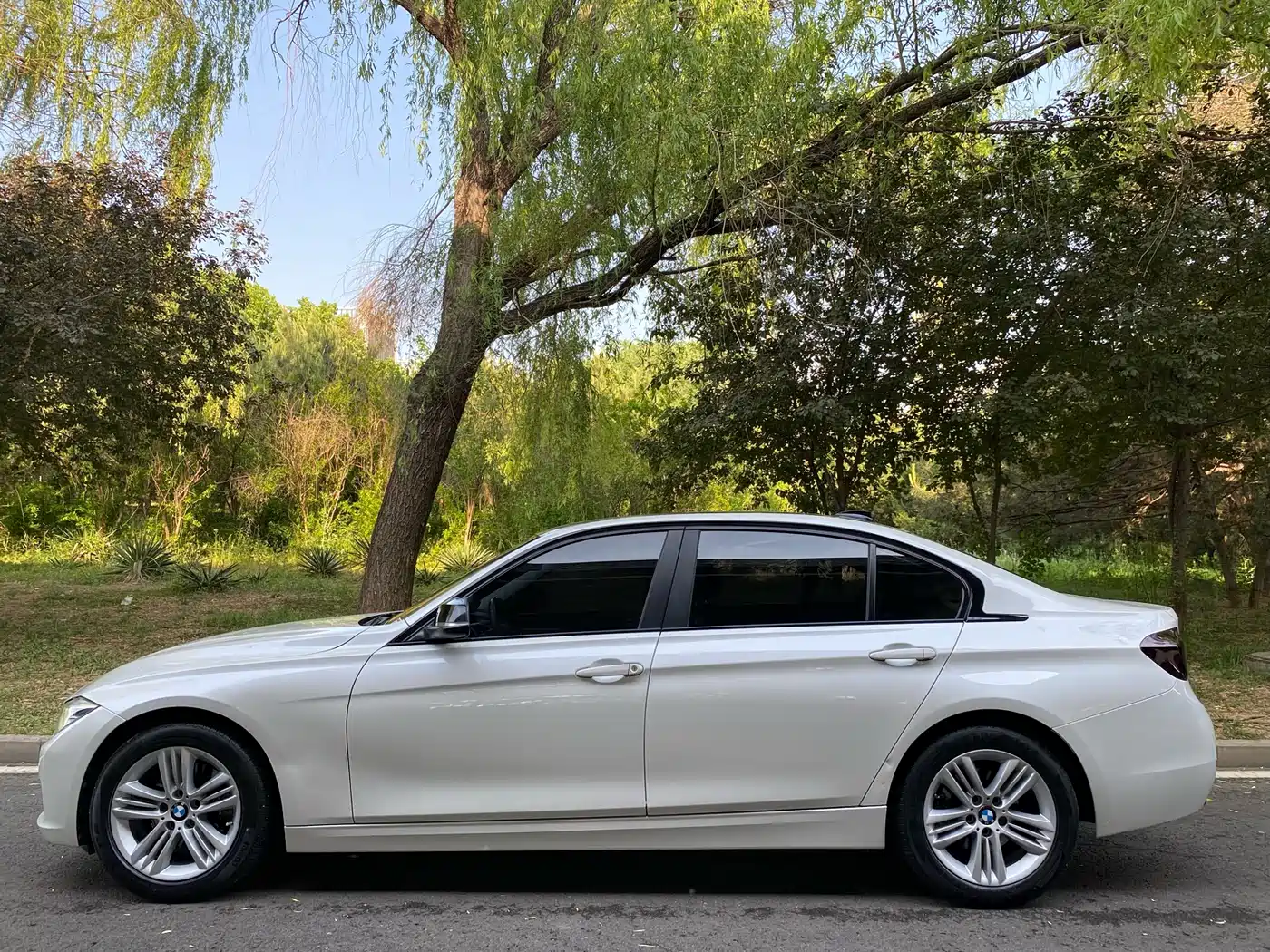 BMW 3 Series 2016 320Li Progressive фото 3