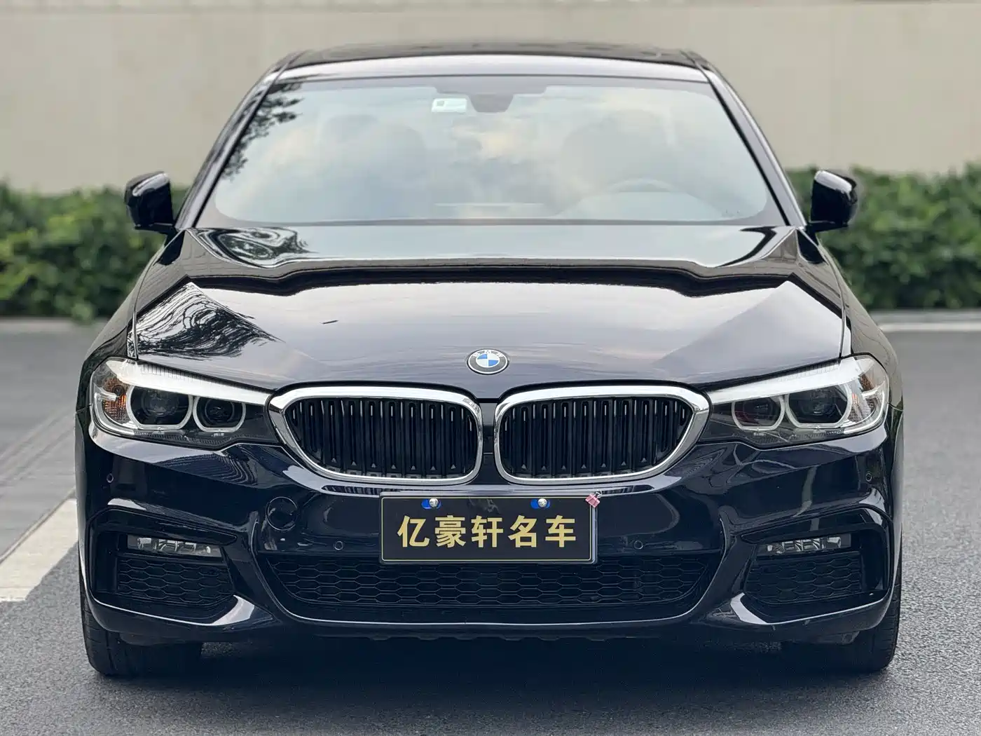 BMW 5 Series 2019 530Li Leading M Sport Package фото 2
