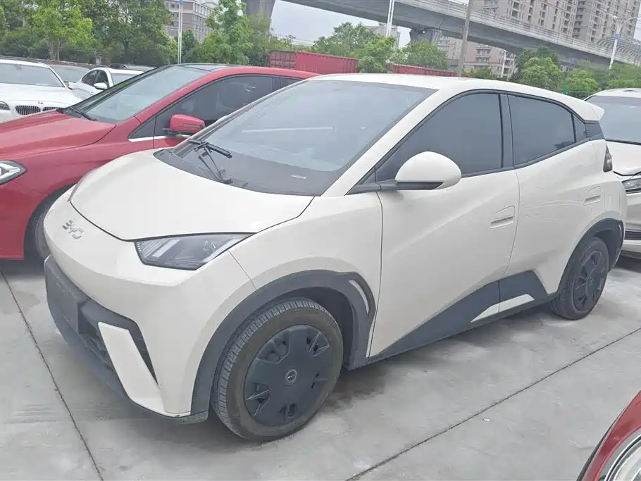 BYD Seagull 2024 Glory Edition 305km Vitality Edition