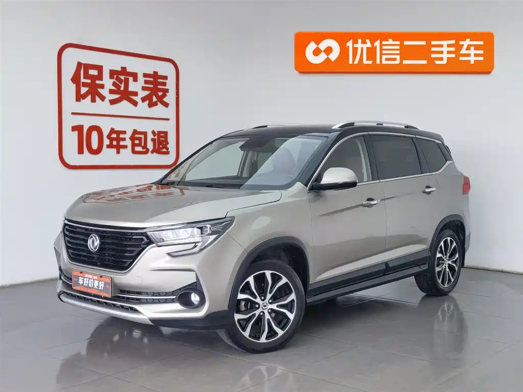 DONGFENG POPULAR T5