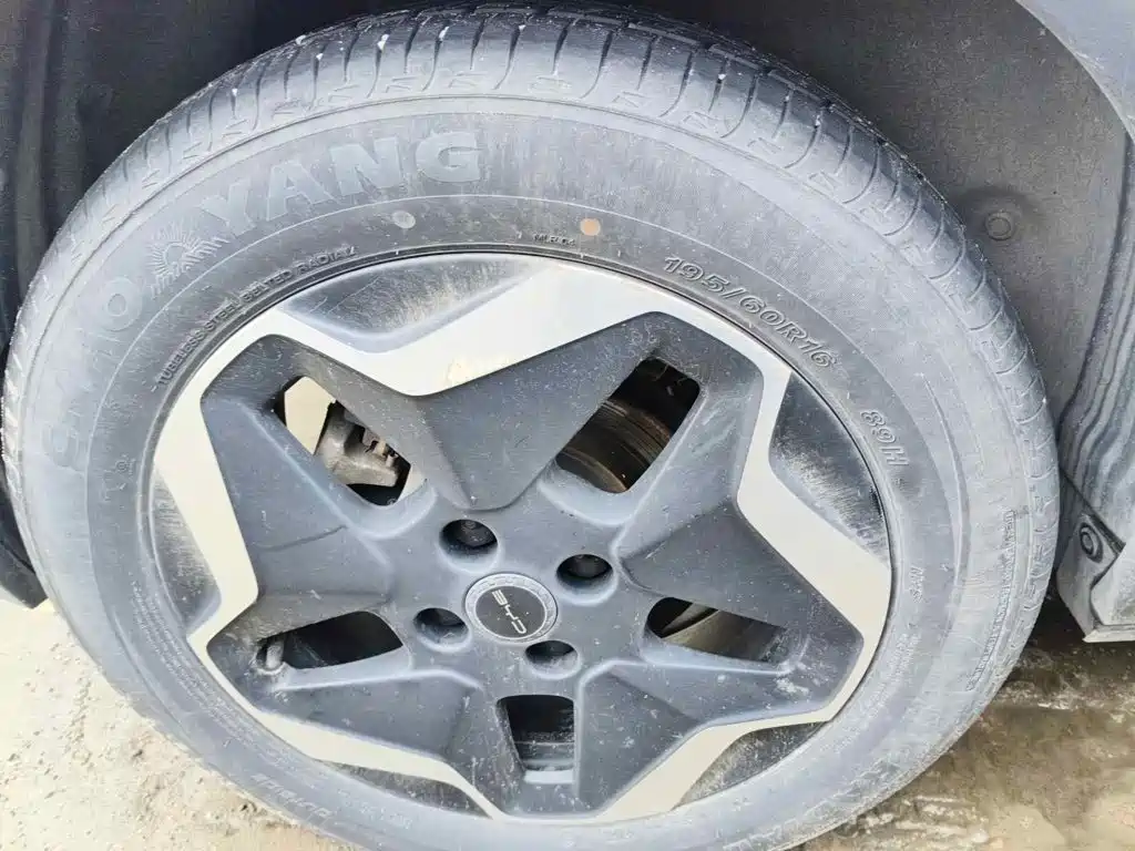 BYD Dolphin 2021 2021 405km Freedom Edition