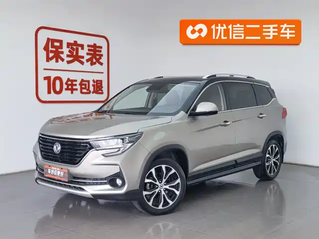 DONGFENG POPULAR T5