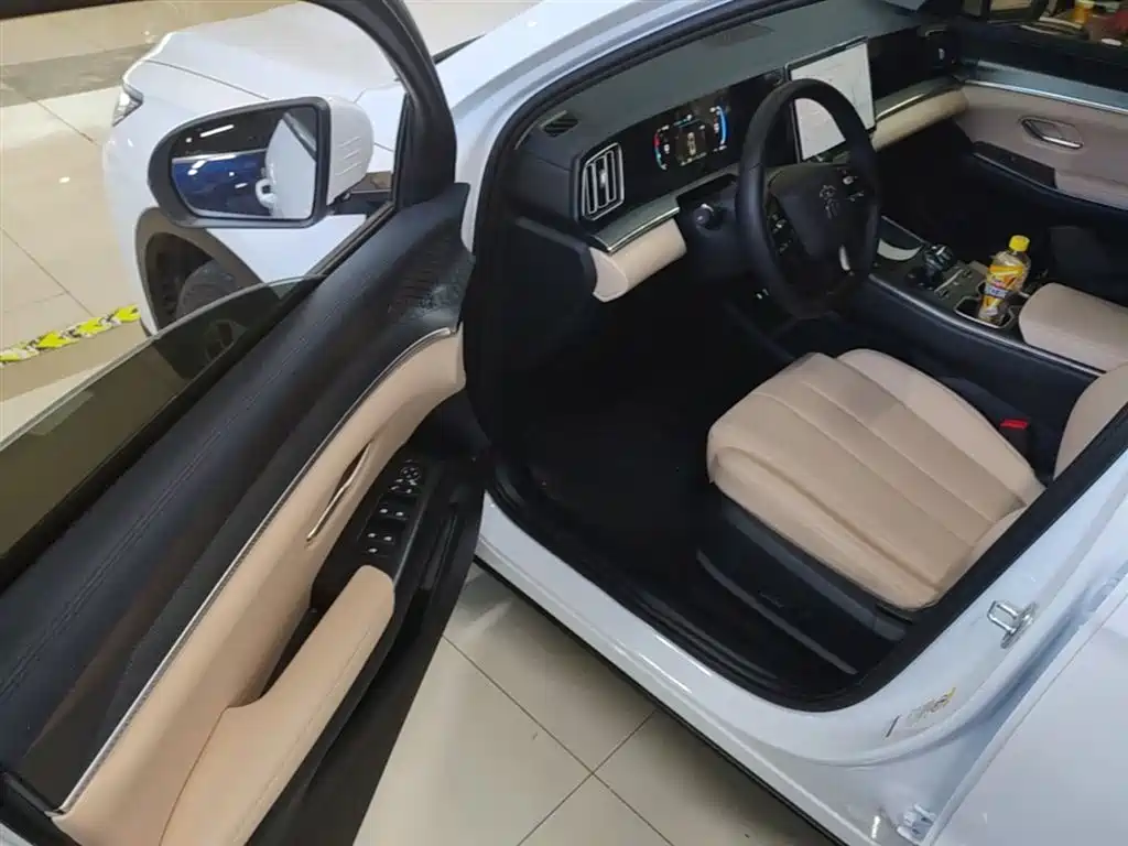BYD Song Pro New Energy 2025 2nd Gen DM-i 75KM Leading Type фото 15