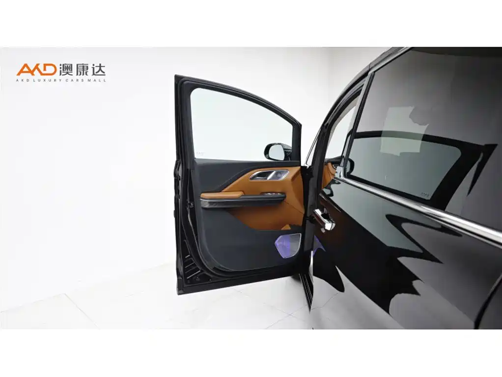 Hongqi HQ9 2023 2.0T Smart Connect Flag Rhyme Edition фото 11