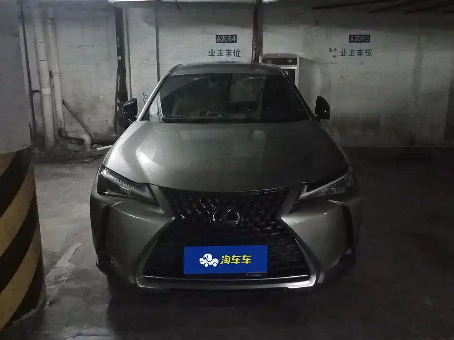 Lexus UX 2020 260h Explore Fun Edition фото 2