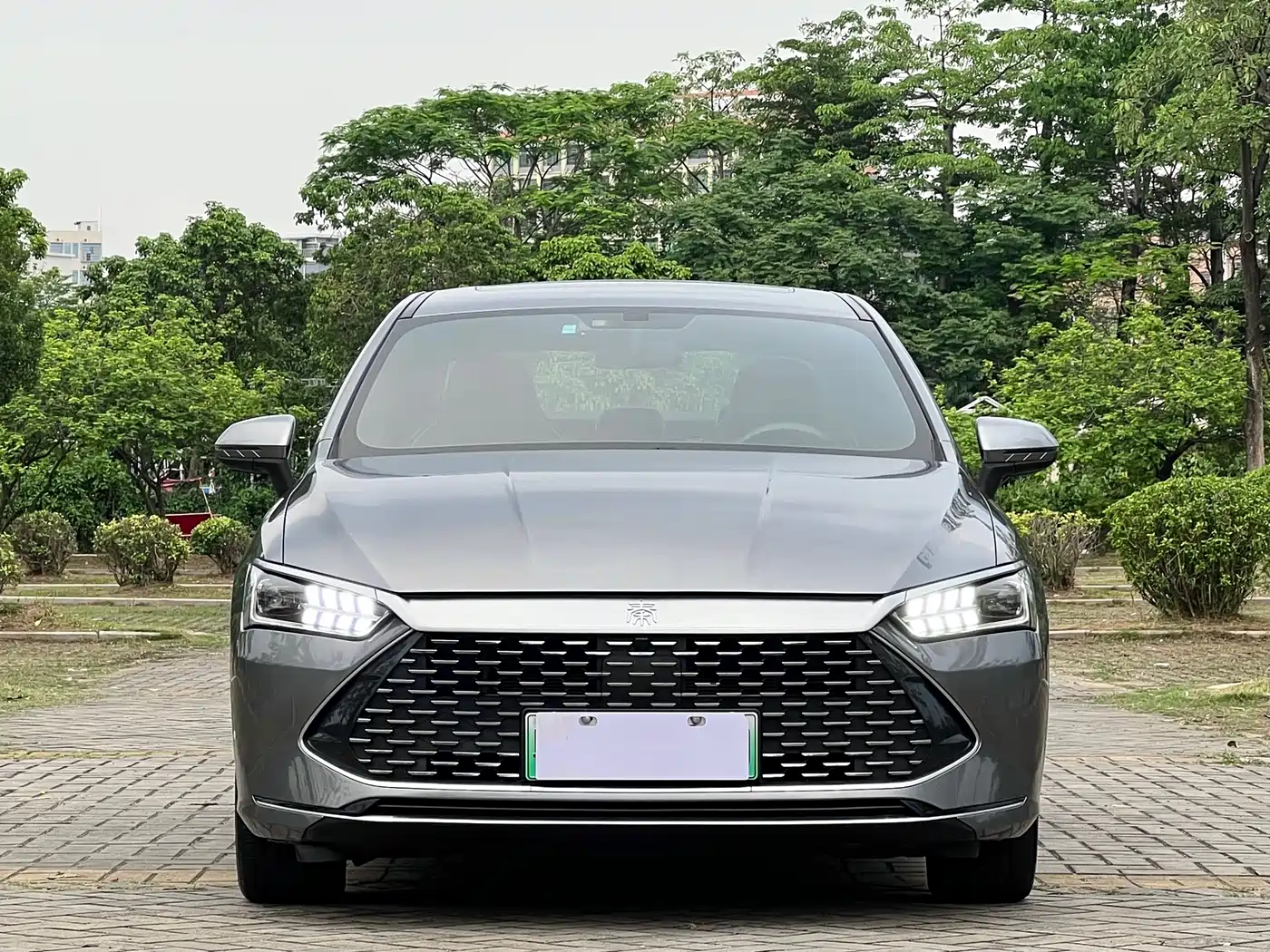 BYD Qin PLUS 2021 DM-i 55KM Flagship фото 2