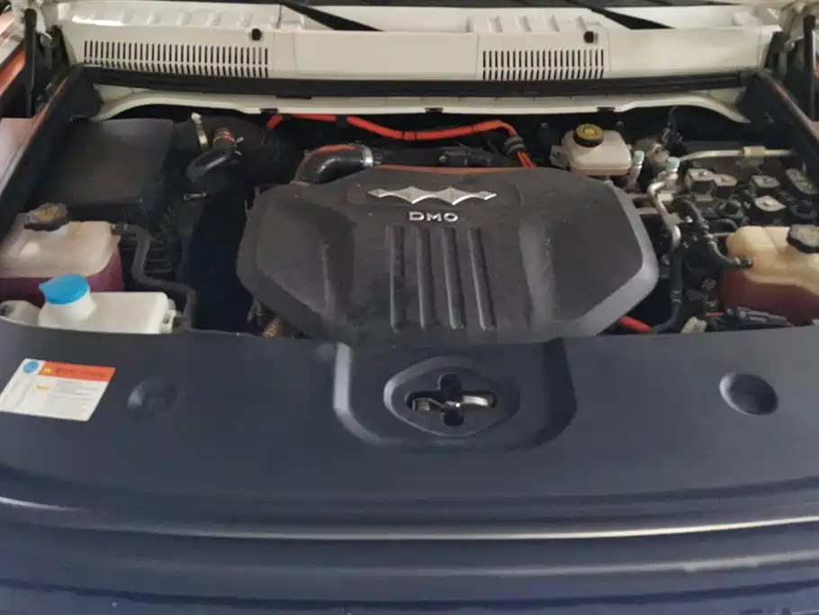 FANG CHENG BAO LEOPARD 5