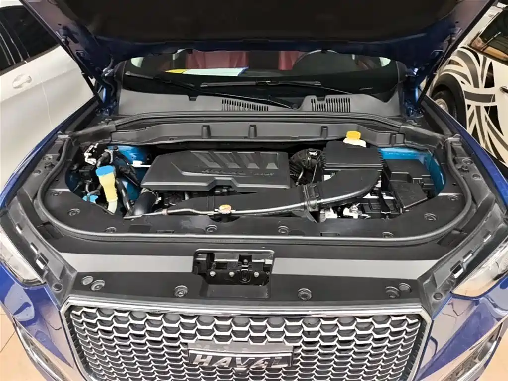 Haval F5 2018 1.5T i-Style фото 20