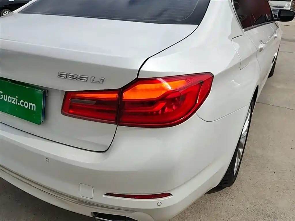 BMW 5 Series 2019 525Li Luxury Package фото 8