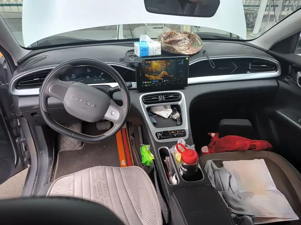 Geely Galaxy Starry Wish 2025 2025 310km Youth Edition