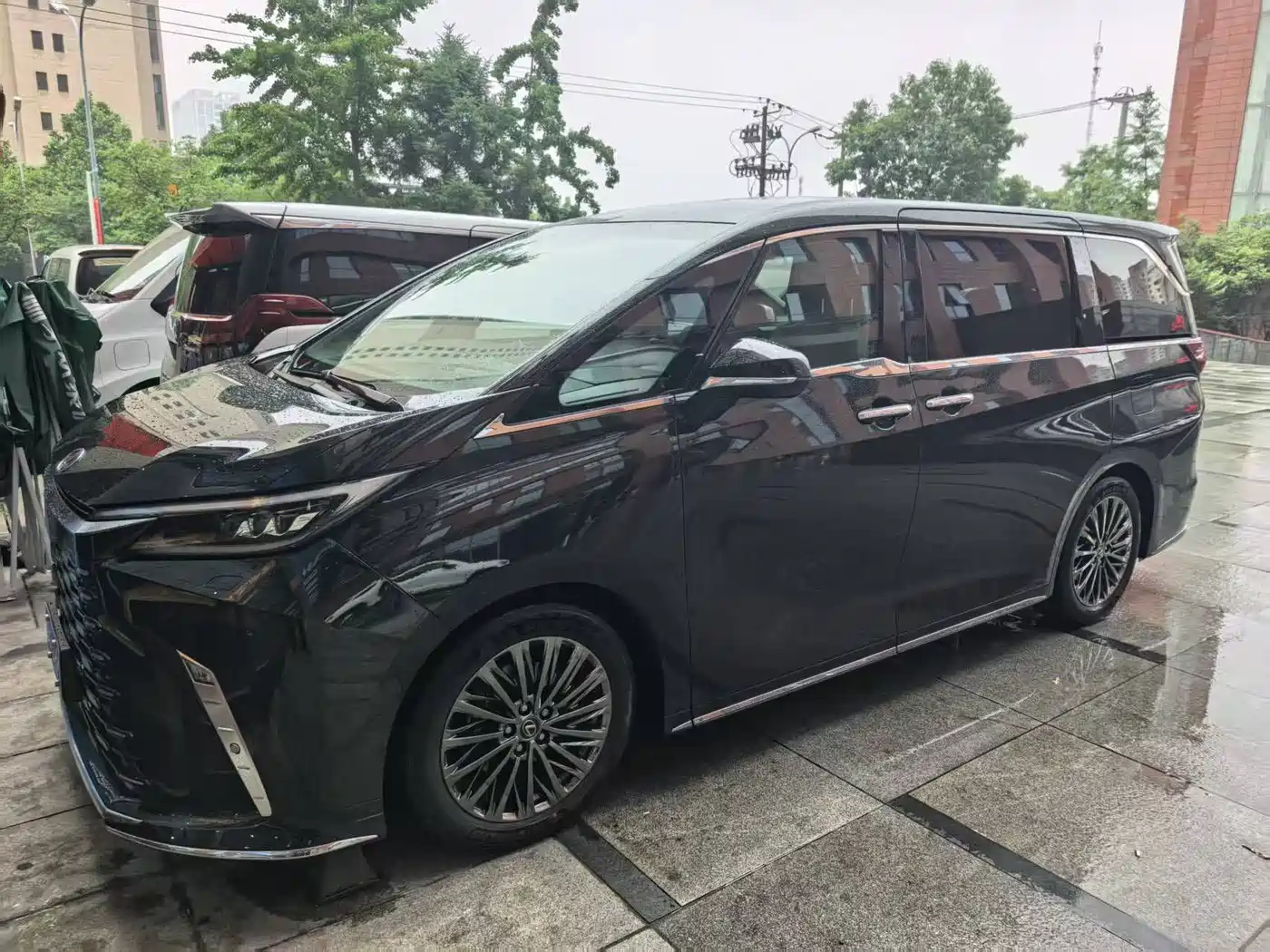 Lexus LM 2023 350h 7-Seater Elegance Edition фото 7