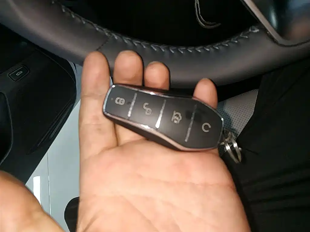BYD Destroyer 05 2024 Glory Edition DM-i 55KM Luxury фото 9