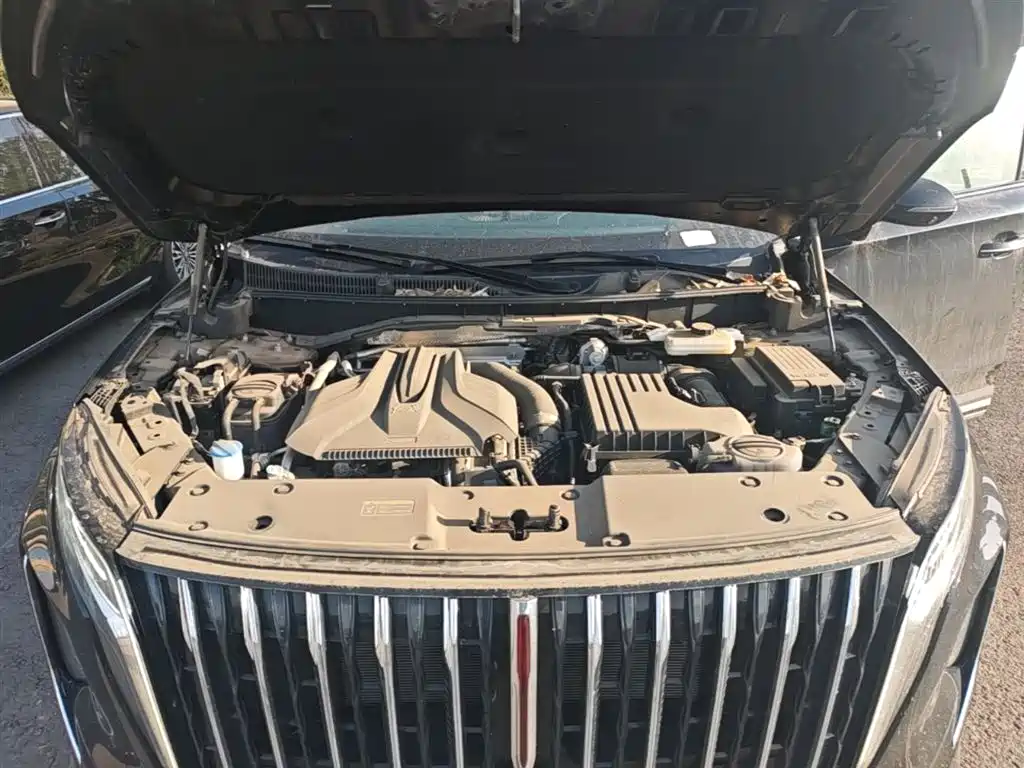 Hongqi HS7 PHEV 2024 2.0T PHEV AWD Qichang Edition 7-seater фото 20