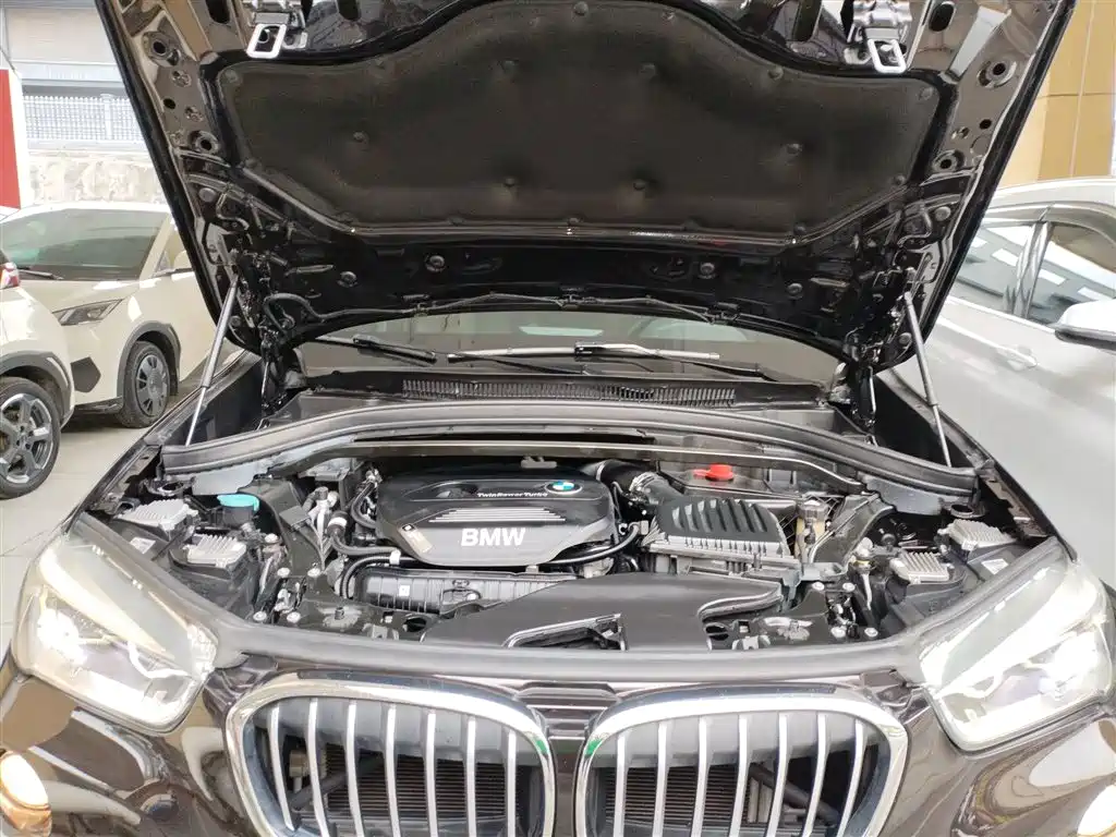 BMW X1 2019 xDrive20Li Premium Model фото 18