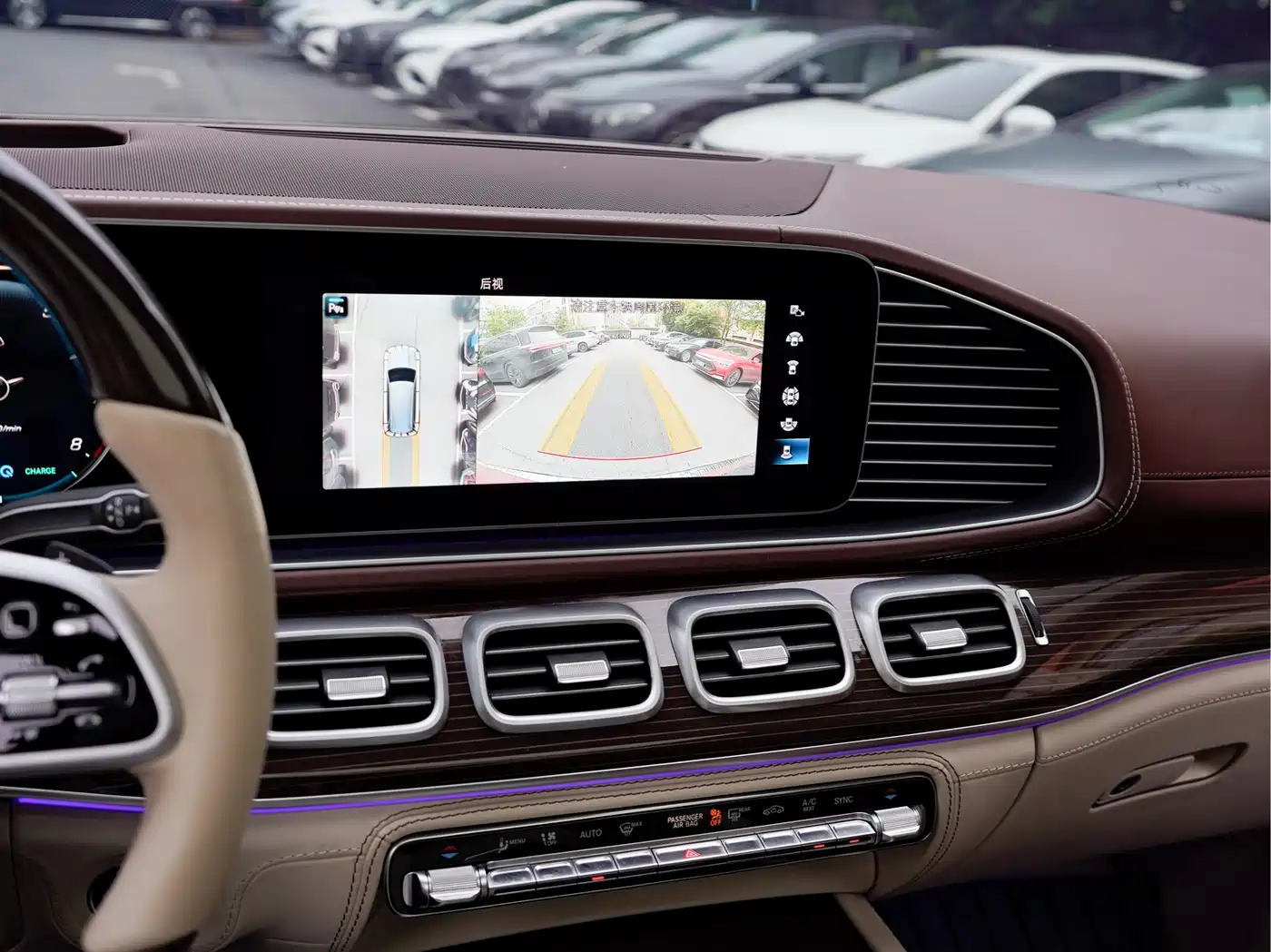 Mercedes-Benz Maybach GLS 2021 GLS 600 4MATIC Etiquette Edition фото 20