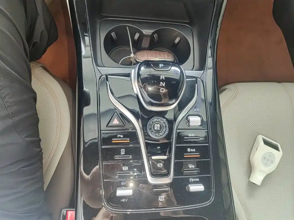 BYD Qin PLUS 2024 Glory Edition DM-i 55KM Leading фото 14