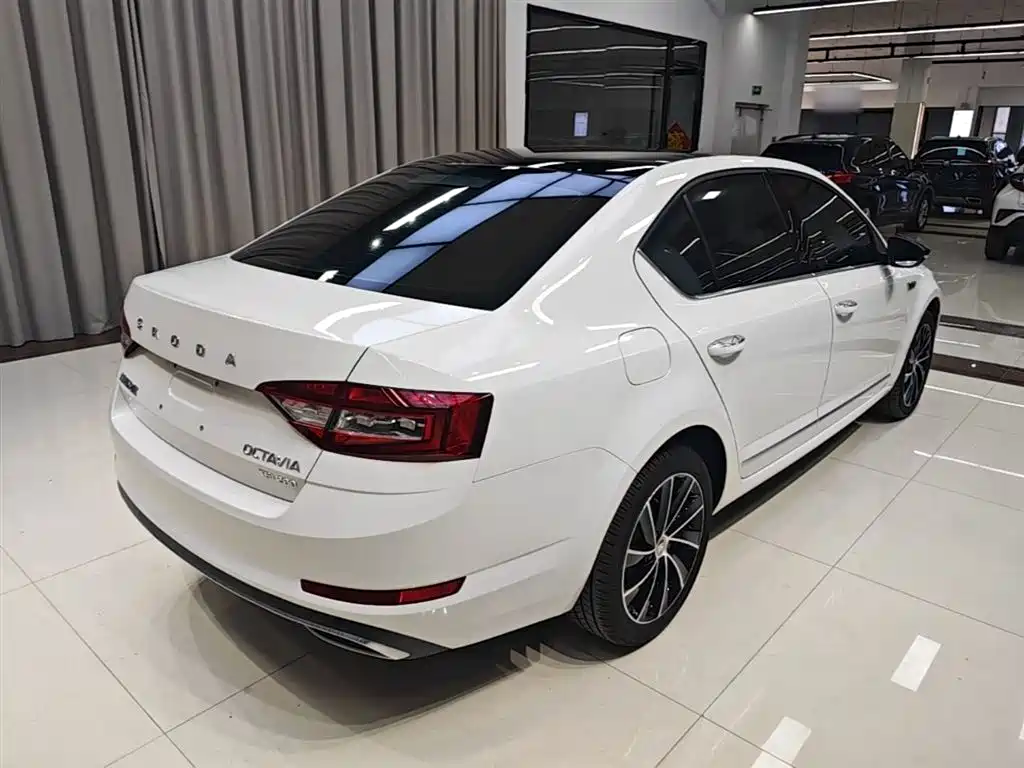Škoda Octavia 2019 TSI280 DSG Luxury Edition фото 5