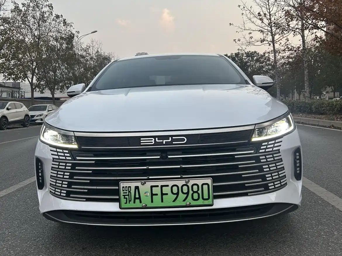 BYD Destroyer 05 2024 Glory Edition DM-i 55KM Luxury фото 2