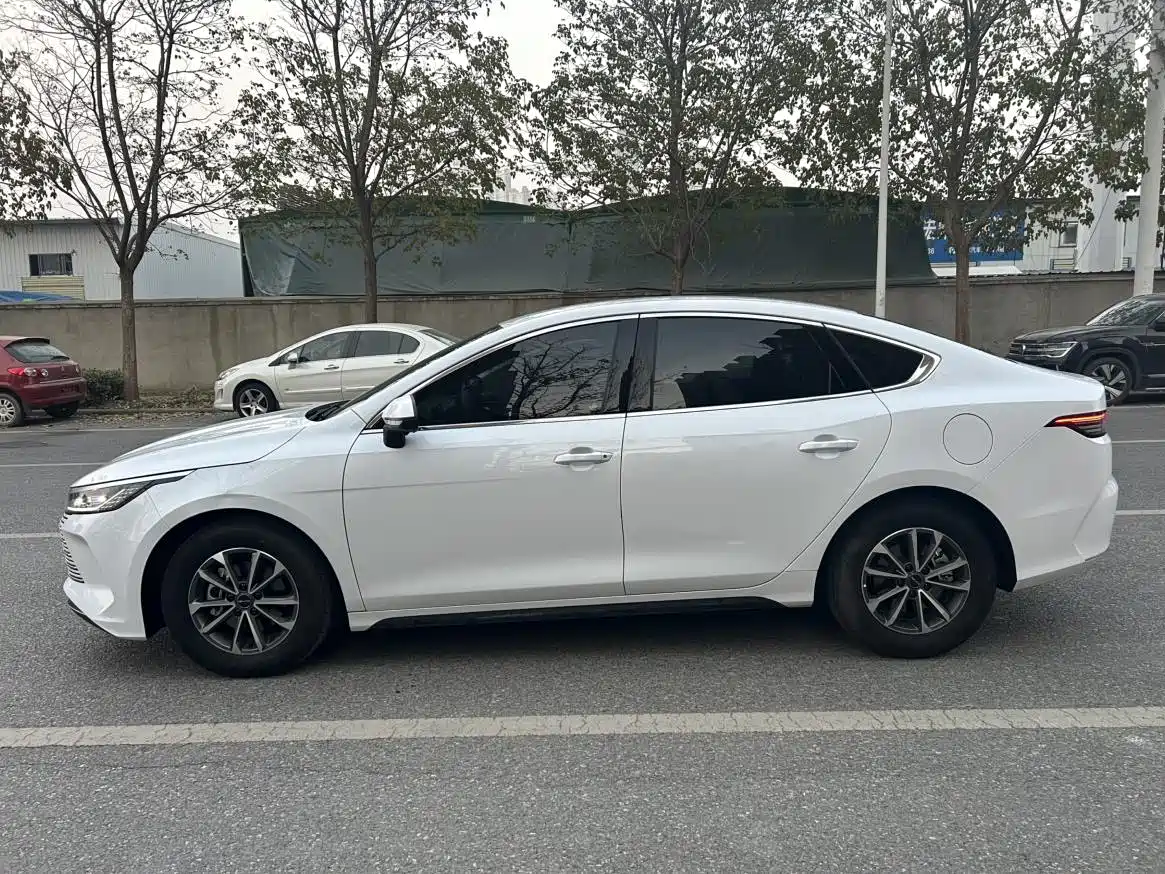 BYD Destroyer 05 2024 Glory Edition DM-i 55KM Luxury фото 3