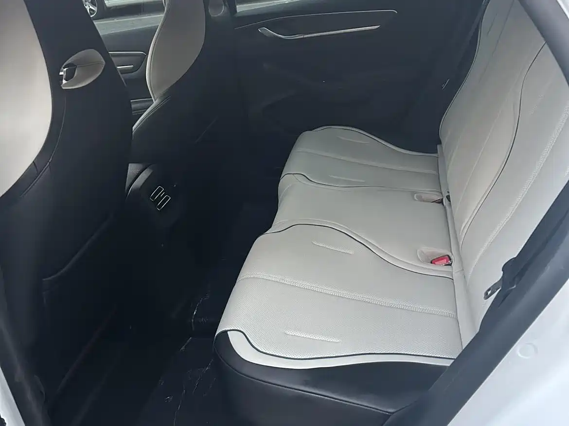 BYD Destroyer 05 2024 Glory Edition DM-i 55KM Luxury фото 11