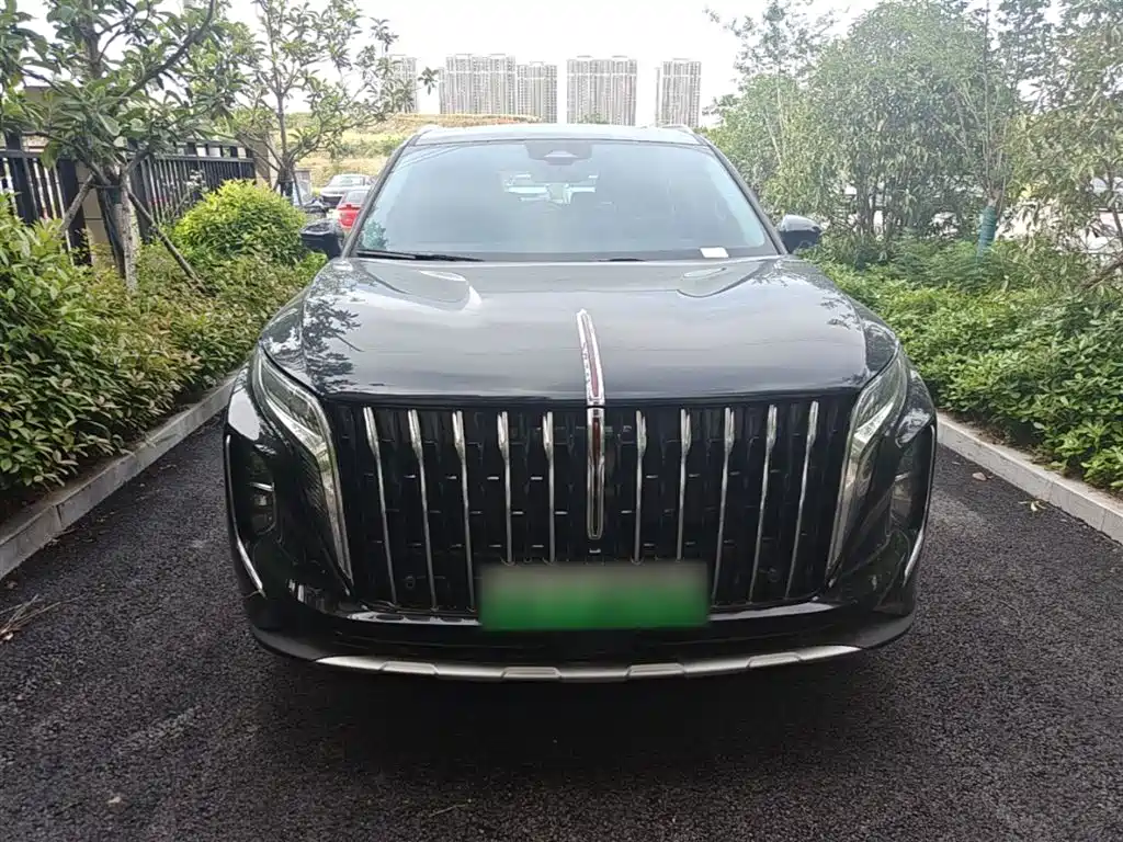 Hongqi HS7 PHEV 2024 2.0T PHEV 4WD Flagship Edition 6-seater фото 3