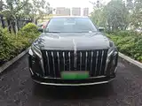 صورة 3 - Hongqi HS7 PHEV