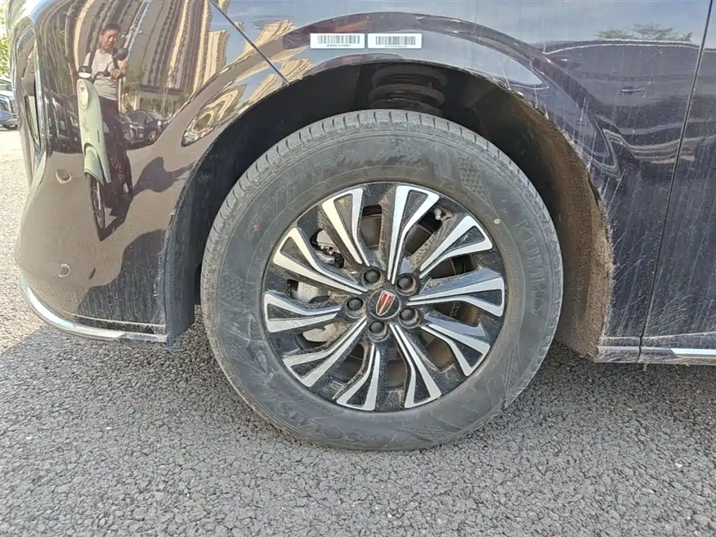 Hongqi HQ9 PHEV 2024 Model 2.0T AWD Business Edition фото 23