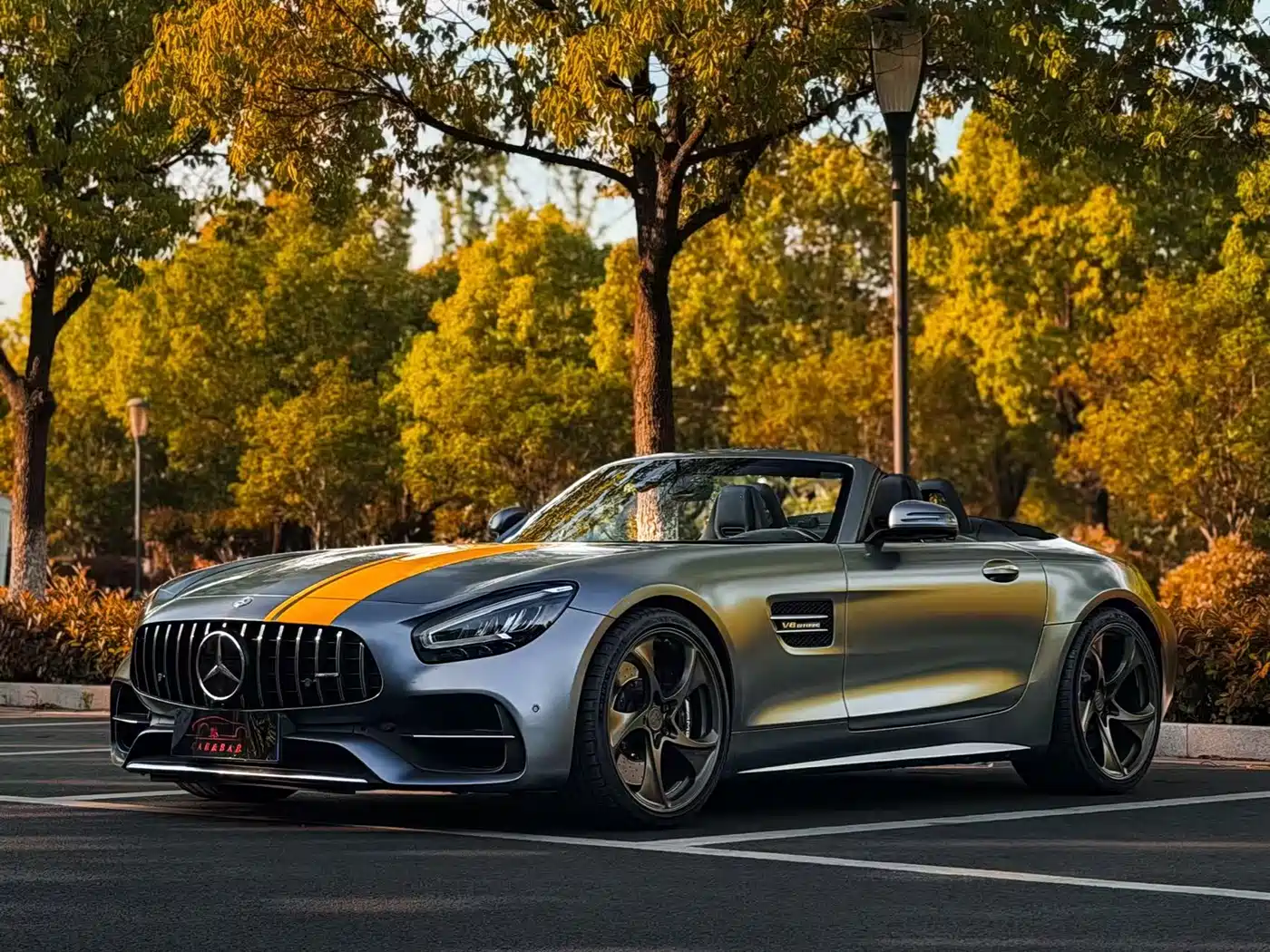 Mercedes-Benz AMG GT 2019 AMG GT C Roadster