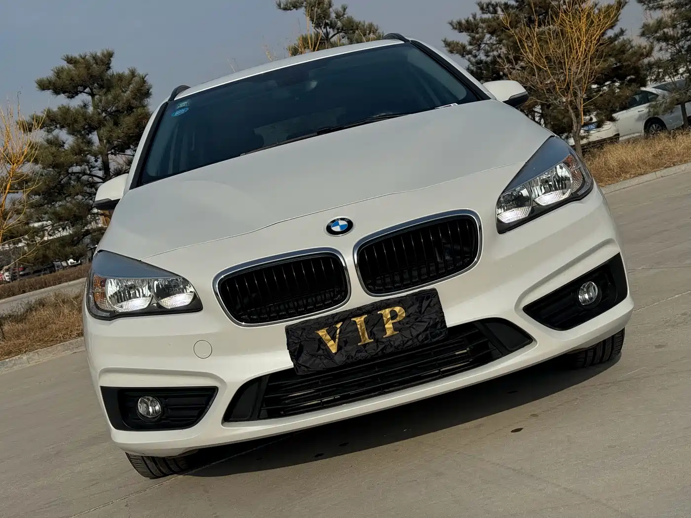BMW 2 Series Touring 2016 218i Fashion Model фото 3