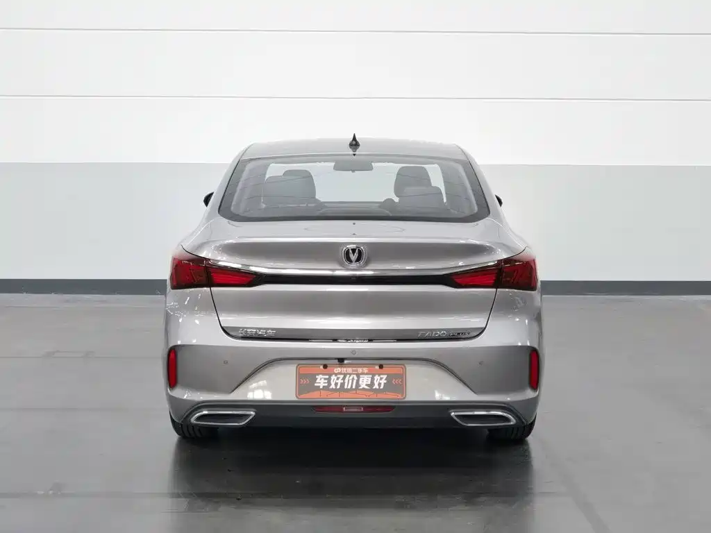 Фото 4 - Changan Eado