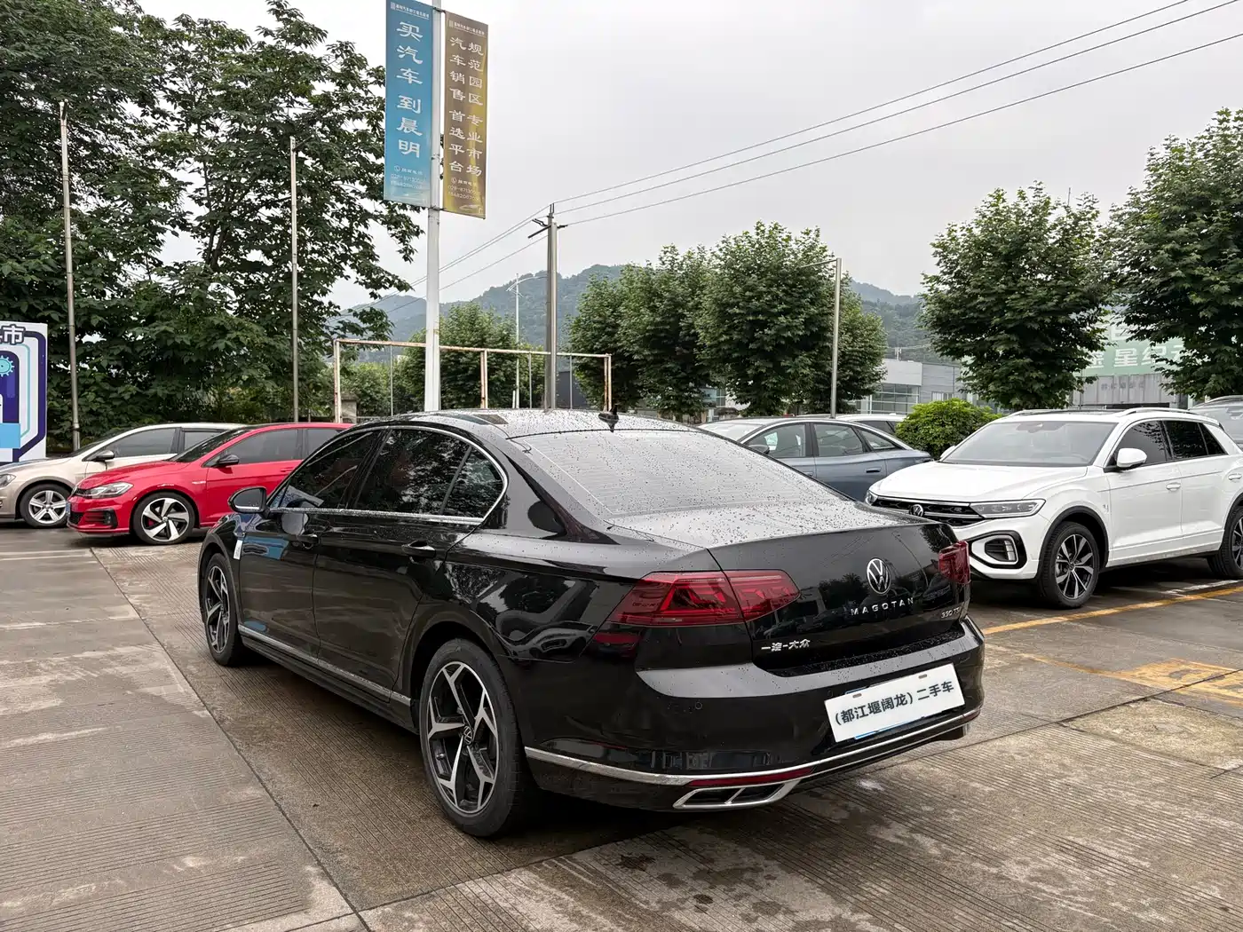 Volkswagen Magotan 2024 2 Million Units Public Sharing Edition 330TSI DSG Luxury фото 7