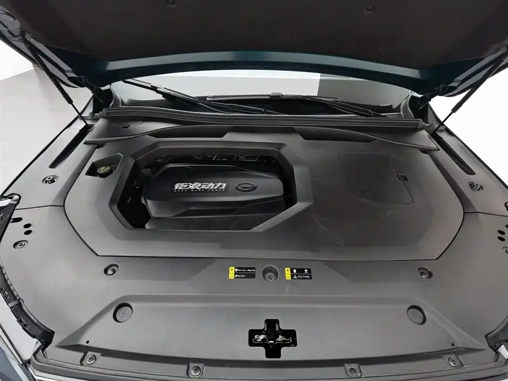 GAC Trumpchi Trumpchi GS8 2022 Pilot Series 2.0TGDI 2WD Premium Edition (6-Seater) фото 6