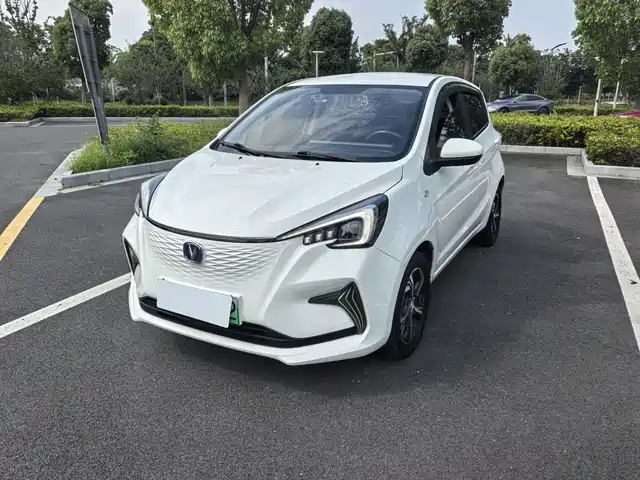  Changan Changan Benben E-Star 2020 Heartjoy Edition NCM