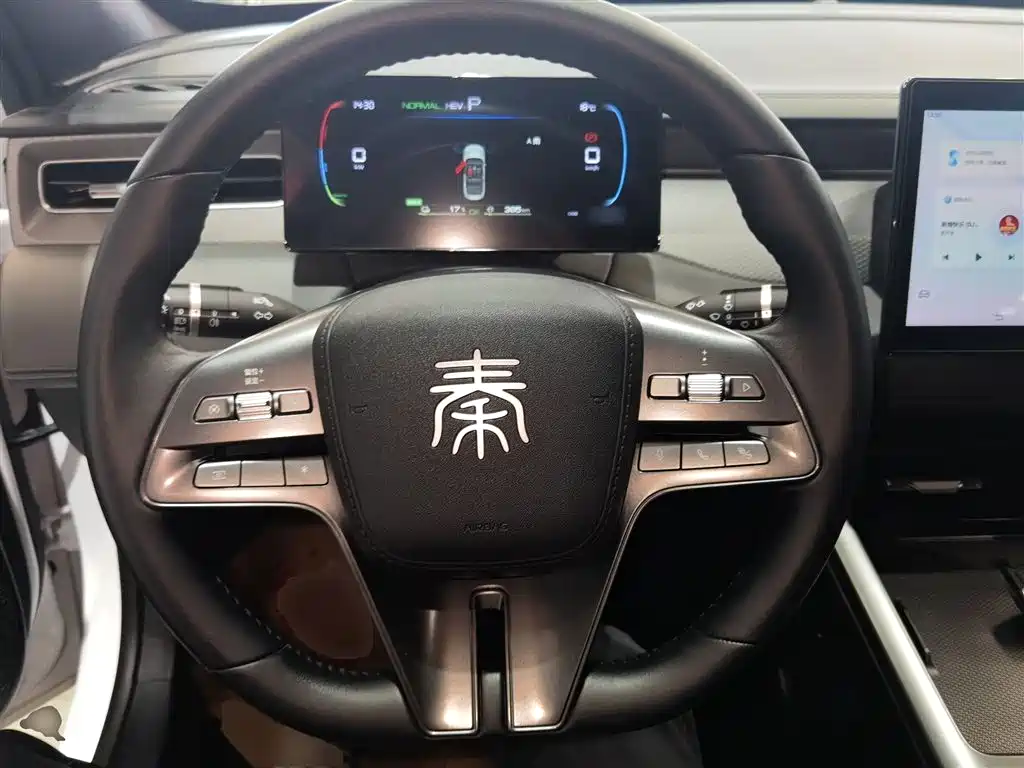 BYD Qin PLUS 2025 DM-i Smart Drive 55KM Leader фото 7