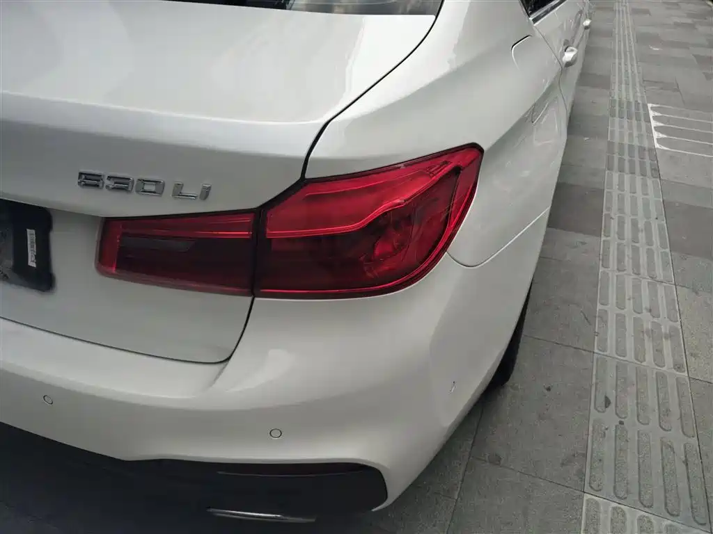 BMW 5 Series 2020 530Li Leading M Sport Package фото 8