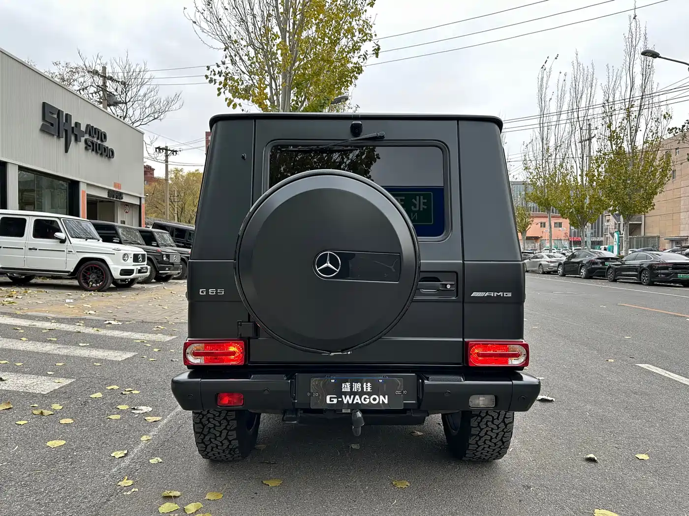Mercedes-Benz G-Class AMG 2013 AMG G 65 фото 7