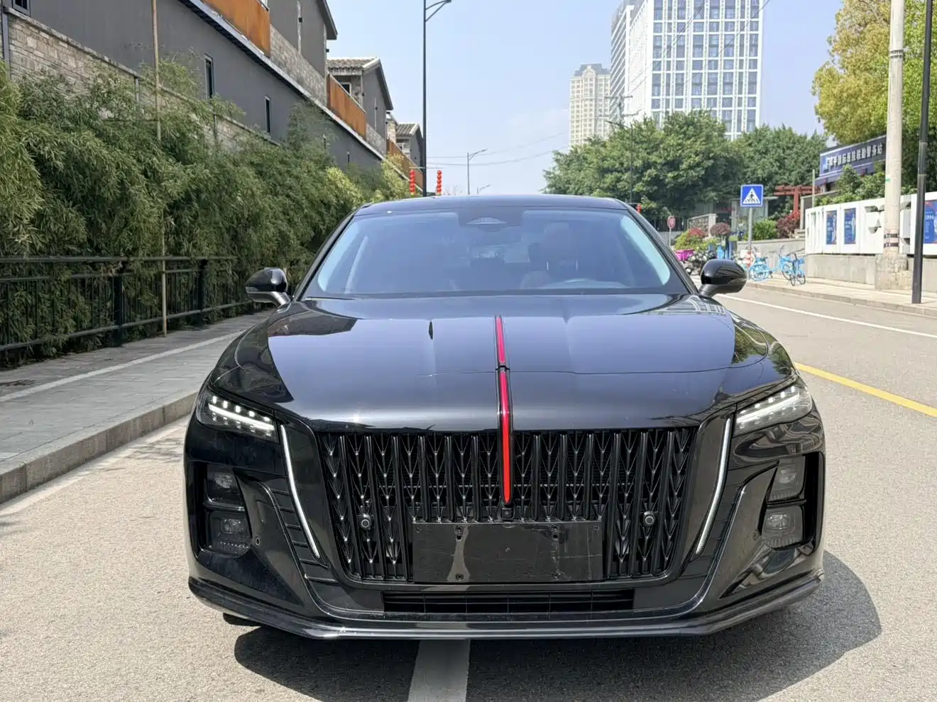 Hongqi H5 2025 2.0T Automatic Mystic Shadow 2 Million Edition фото 2