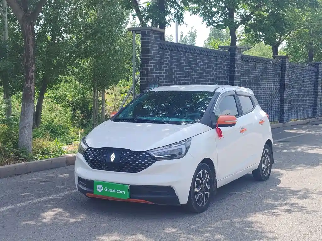 JMCG New Energy Yizhi EV3 2023 Youth Edition 251KM Comfort