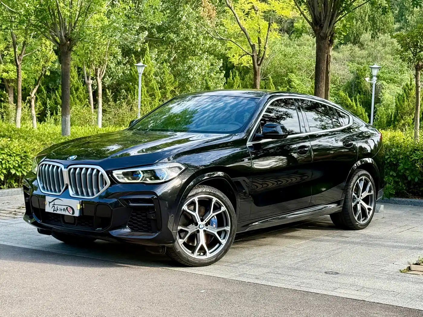 BMW X6 2022 2022 xDrive40i Premium M Sport Package