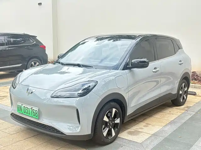 Wuling Motors Wuling Binguo PLUS 2024 401km Range 5-seater